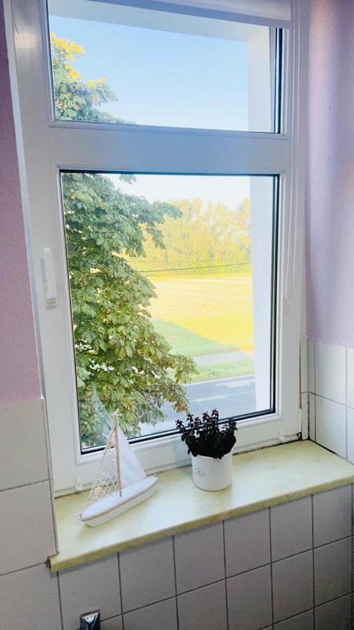 Apartment Berzi 1